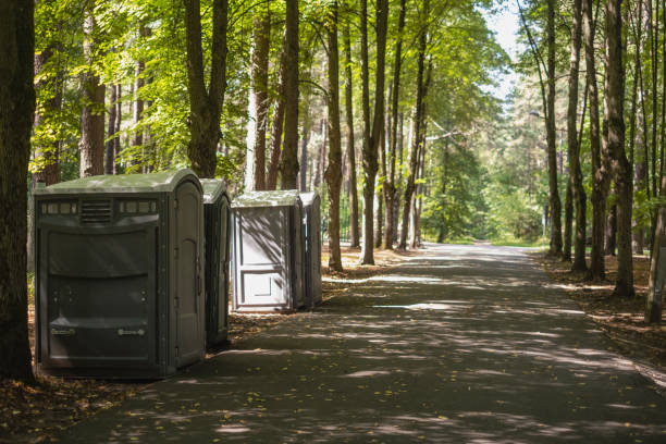 Best Local porta potty services  in Arroyo Seco, NM